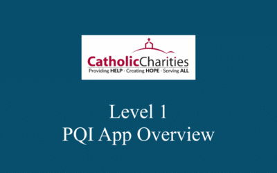 Level 1 PQI App Overview