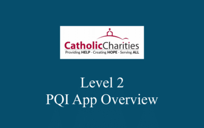 Level 2  PQI App Overview