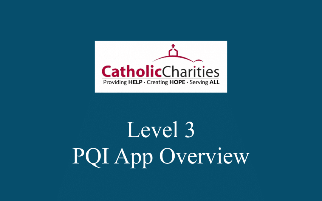 Level 3 PQI App Overview